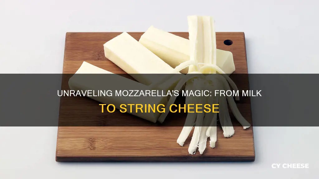 how is mozzarella string cheese made