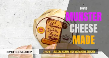 Munster Cheese: A Step-by-Step Guide to Making It