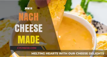 Unveiling the Secret: A Journey into Nachos' Cheesy Heart