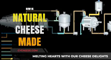 Unveiling the Art of Natural Cheese-Making: A Delicious Journey