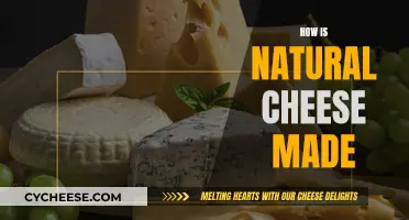 The Art of Natural Cheese Making