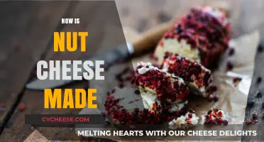 Unveiling the Art of Nut-Based Cheese: A Delicious Process