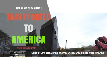 Old Croc Cheese: Journey from Australia to American Shelves