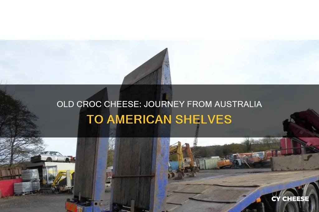 how is old croc cheese transported to america