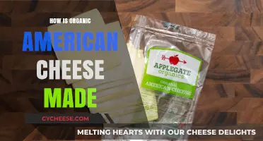 Unveiling the Craft: Organic American Cheese, From Farm to Table