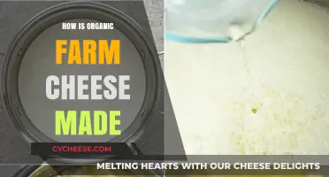 The Art of Crafting Organic Farm Cheese: A Delicious Journey