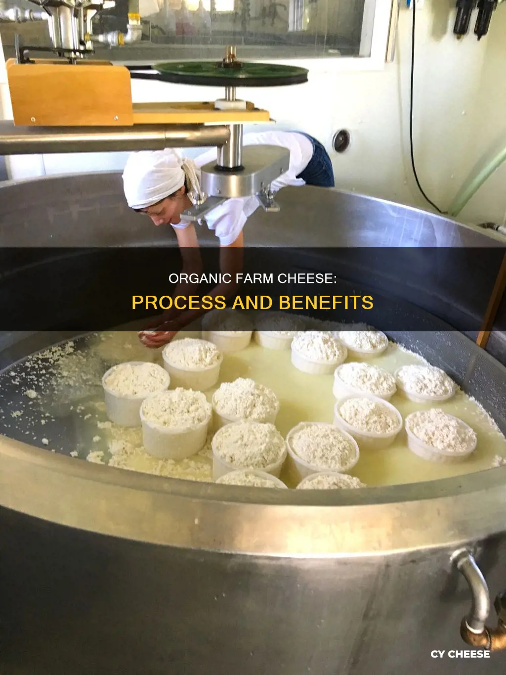 how is organic farm cheese made