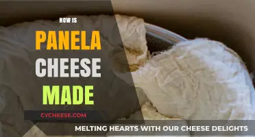 Unveiling the Art of Panela Cheese: A Traditional Craft