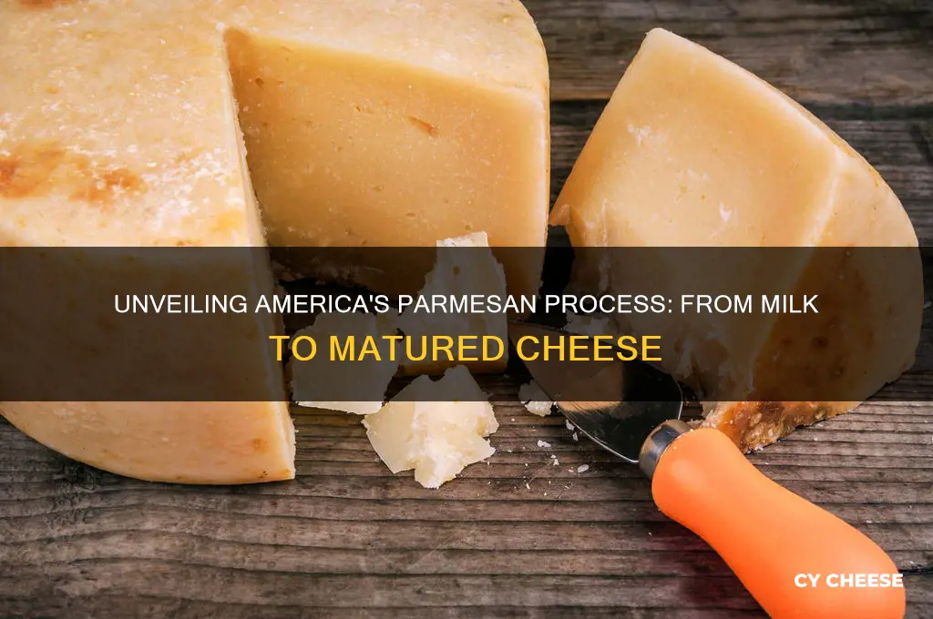 how is parmesan cheese made in america