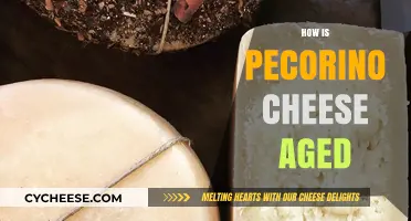 Mastering Pecorino: The Art and Science of Aging Cheese