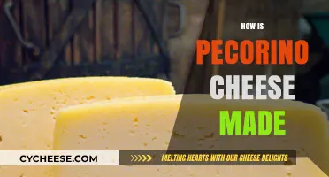 The Art of Pecorino: Unveiling the Ancient Italian Cheese-Making Process