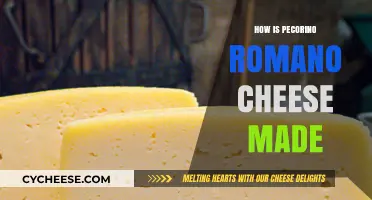 The Art of Pecorino Romano: A Cheesy Journey