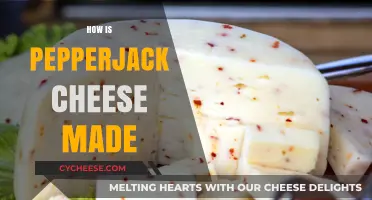 Unveiling the Art of Pepperjack: A Cheesy Adventure