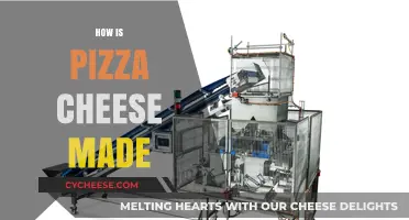 The Art of Pizza Cheese: A Delicious Journey