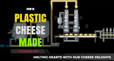 Unveiling the Mystery: The Process Behind Plastic Cheese