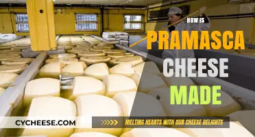 Pramascan's Cheesy Journey: Unveiling the Art of Crafting