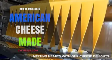 Unveiling the Magic: A Journey Through Processed American Cheese