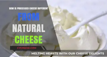 Processed vs. Natural Cheese: Key Differences and What You Need to Know