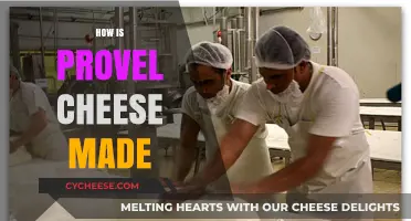 Unveiling the Art of Provel Cheese: A Delicious Journey