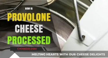 From Curd to Cheese: The Provolone Processing Journey Explained