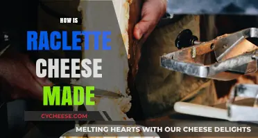 The Art of Raclette: A Cheesy Adventure