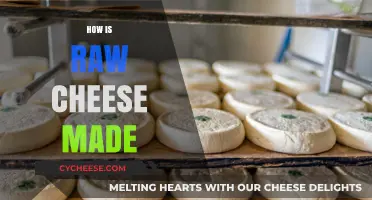 Unveiling the Art of Raw Cheese: A Journey from Farm to Table