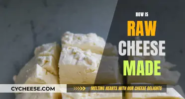 The Art of Making Raw Cheese