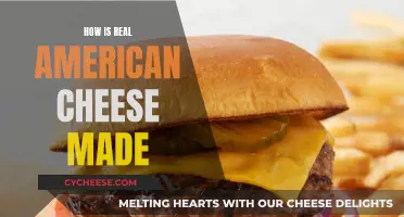 The Making of Real American Cheese: A Step-by-Step Guide