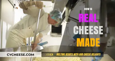 The Art of Cheesemaking: Unveiling the Process Behind Real Cheese