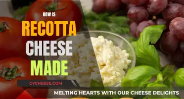 The Art of Making Ricotta Cheese: A Beginner's Guide