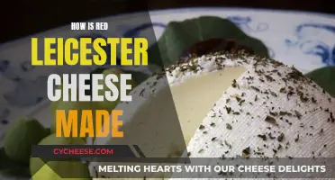 The Making of Red Leicester Cheese: A Step-by-Step Guide