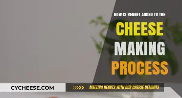 Adding Rennet to Cheese: A Step-by-Step Guide to the Process