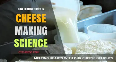 Rennet's Role in Cheese Making Explained