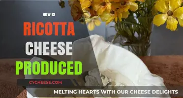 From Whey to Table: The Simple Art of Making Ricotta Cheese