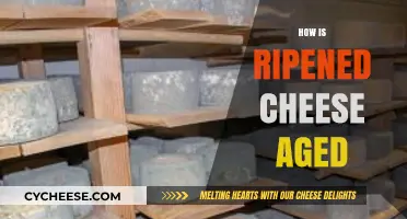 Mastering the Art of Aging: How Ripened Cheese Matures to Perfection