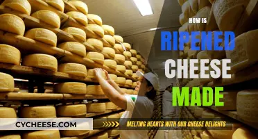 The Art of Cheesemaking: Unveiling the Magic of Ripened Cheese