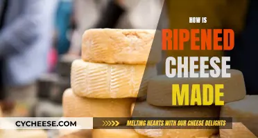 The Art of Making Ripened Cheese