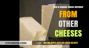 Romano Cheese Unveiled: Unique Flavor, Texture, and Uses Explained