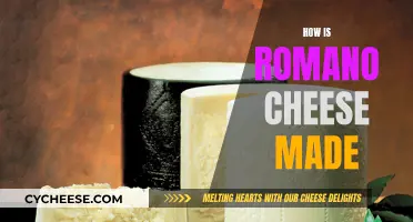 Romano Cheese: The Art of Making It