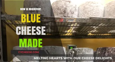 Unveiling the Secrets: A Journey into the Making of Roquefort Blue Cheese