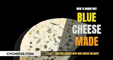 The Making of Roquefort Blue Cheese