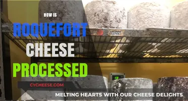 The Art of Roquefort Cheese Processing: A Step-by-Step Guide