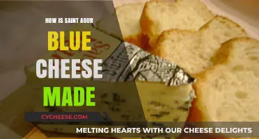 Unveiling the Art of Saint Agur Blue Cheese: A Delicious Journey