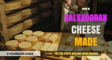 Salvadoran Cheese: A Journey from Farm to Table