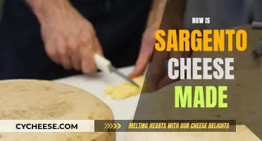 The Crafting of Sargento Cheese: Process and Quality