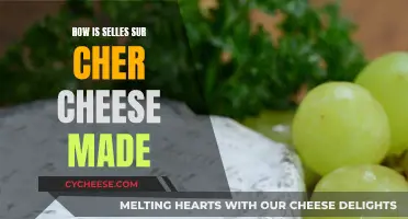 The Making of Selles-sur-Cher Cheese: A Step-by-Step Guide