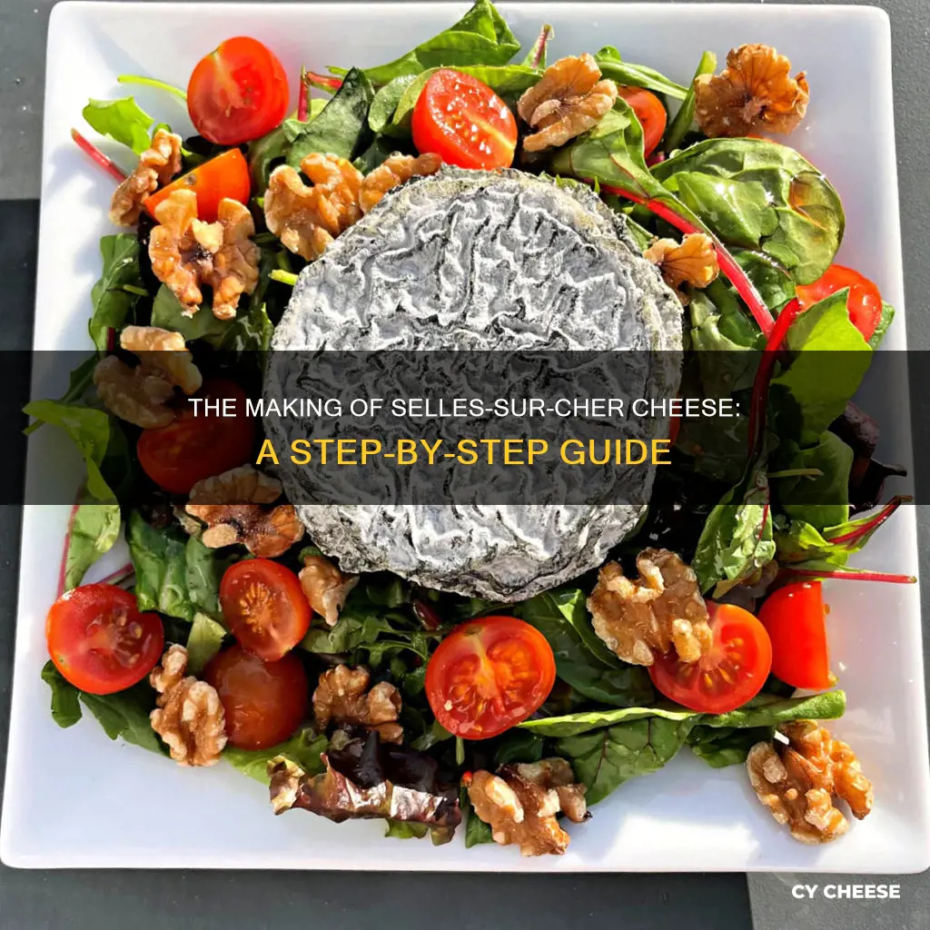 how is selles sur cher cheese made