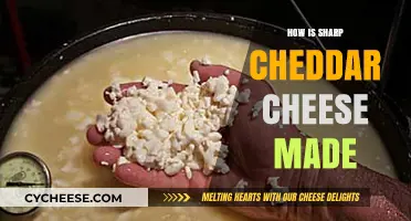 Crafting Cheddar: Unveiling the Art of Cheese Making