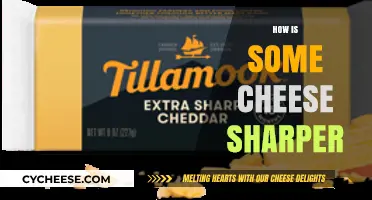 Why Some Cheeses Pack a Punch: The Science of Sharpness