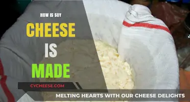 Unveiling the Magic: Soy Cheese Crafted